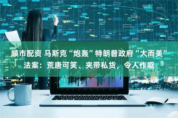 顺市配资 马斯克“炮轰”特朗普政府“大而美”法案：荒唐可笑、夹带私货，令人作呕