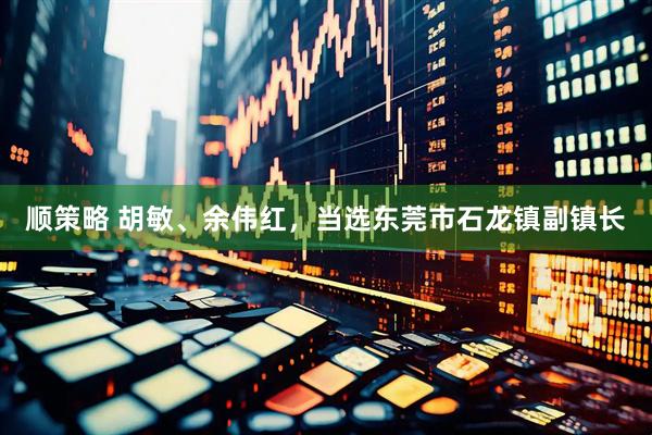 顺策略 胡敏、余伟红，当选东莞市石龙镇副镇长